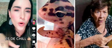 “Es de chill”, la expresión que es viral en TikTok “Es de chill”: ¿qué significa la expresión que ahora es viral en TikTok?