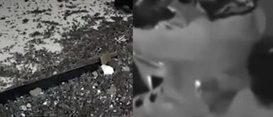 Lanzan explosivo en canal de televisión que denunció corrupción en Gobierno Regional de Ica Lanzan explosivo en canal de televisión que denunció corrupción en Gobierno Regional de Ica