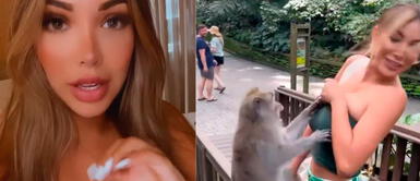 Paula Manzanal revela su experiencia con mono en Bali. Paula Manzanal fue atacada por mono en su viaje a Indonesia