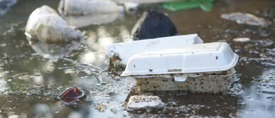 Fuerza Popular presentó un proyecto de ley para retrasar hasta el 2023 prohibición de envases de tecnopor. Foto: difusión Golpe al ambiente: Fuerza Popular propone aplazar la prohibición de tecnopor por dos años