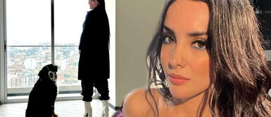 Ronsángela Espinoza responde si su nuevo depa le costó 1 millón de soles Ronsángela Espinoza responde si su nuevo depa le costó 1 millón de soles