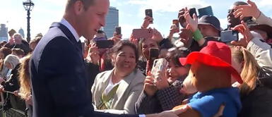 Principe Willian saludó a peruanas que llevaban consigo un oso Paddington durante las exequias de la reina Isabel II Principe Willian saludó a peruanas que llevaban consigo un oso Paddington durante las exequias de la reina Isabel II