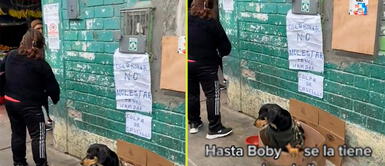 Perrito es cuidado por comerciante y vecinos. Perrito callejero vive en mercado con curioso letrero: “Colaborar, no molestar. Tengo hambre”