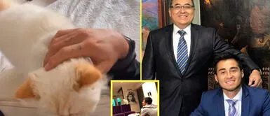 Rodrigo Cuba se muestra afectuoso con su mascota. Rodrigo Cuba se muestra cariñoso con su gato y enternece en las redes
