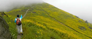 ¿Qué atractivos turísticos tiene Lima Norte?: Estos son los 5 destinos que puedes visitar ¿Qué atractivos turísticos tiene Lima Norte?: Estos son los 5 destinos que puedes visitar