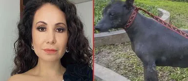 Janet Barboza sufrió la perdida irreparable de su perrita Pecas Janet Barboza se despide de su perrita: "Mi niña se quedó dormida en mis brazos"