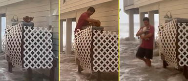 El gatito tenía miedo tras el paso del fuerte huracán. Joven auxilió a gatito que lloraba afuera de su casa durante el paso del huracán Ian