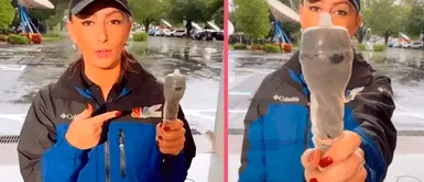 Reportera en Estados Unidos “protege” con un condón su micrófono en un directo sobre huracán Ian Reportera en Estados Unidos “protege” con un condón su micrófono en un directo sobre huracán Ian