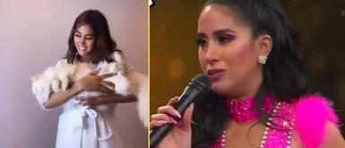 El gatito Copito luce nuevo look en redes sociales. Gatito de Melissa Paredes mira emocionado 'El Gran Show' y luce curioso look