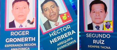 Símbolos de candidatos causan furor en Twitter Símbolos de candidatos causan furor en Twitter: el pollito futbolero, el ‘like’ de Facebook y hasta una bicicleta