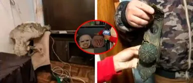 Vacían casa de maquilladores en 30 minutos y se llevan hasta las máscaras de Halloween Vacían casa de maquilladores en 30 minutos y se llevan hasta sus máscaras de Halloween | VIDEO