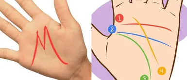 simbolo letra M palma de mano Este es el significado la letra M en la mano | Amor, inteligencia, vida y destino