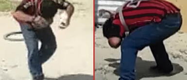 La víctima cayó al suelo, pidiendo ayuda desesperadamente Abejas atacan sin piedad a hombre en Piura | VIDEO