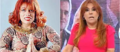 ¿Quién es MAGNOLIA MERINO y por qué MAGALY MEDINA casi demanda a Michelle Alexander por el personaje? ¿Quién es MAGNOLIA MERINO y por qué MAGALY MEDINA casi demanda a Michelle Alexander por el personaje?