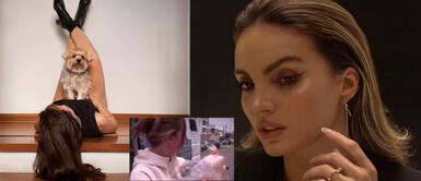 'Cachaza' lució demacrada luego de mudanza. CAROL REALI se lleva a su perrita tras separarse de RAFAEL CARDOZO