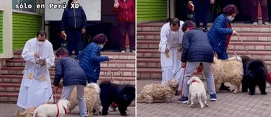 Un grupo de perritos acudió a iglesia para recibir la bendición. Vecinos llevan a sus perritos a iglesia para que el cura les dé la bendición: "Bueno el padre"