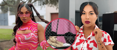 Dayanita negó relación con cómico ambulante DAYANITA está enamorada: ¿Quién sería el supuesto NOVIO de la actriz cómica? | VIDEO