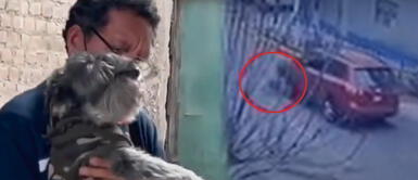 El señor Mac Donald denunció a Luis Vivar por atropellar a su perrito, pero los policías rechazaron el caso. Perrito perdió la vida tras ser atropellado por una camioneta | VIDEO