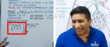 Profesor de Anatomía explica que miembros menores a 8 cm son ‘micropenes’ y alumno le reclama Profesor de Anatomía explica que miembros menores a 8 cm son ‘micropenes’ y alumno le reclama | VIDEO