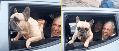 Antauro se ríe a carcajadas con su mascota al lado. Antauro Humala es visto asomando a su perrito por la ventana y riéndose a carcajadas