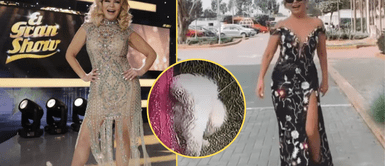 Gisela Valcárcel pasó un inesperado momento durante transmisión. Cuando perrito se hizo la pis encima del elegantísimo outfit de Gisela Valcárcel durante transmisión EN VIVO