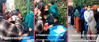 Emprendedora peruana arrasa en concierto de Daddy Yankee con negocio de trencitas Emprendedora peruana arrasa en concierto de Daddy Yankee con negocio de trencitas