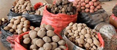 ¿Sabes por qué ha subido tanto el precio de la papa? ¿Sabes por qué ha subido tanto el precio de la papa? Según un informe, por especulación