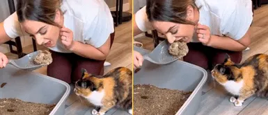 Joven le hizo una broma a su indefenso felino. Mujer hace creer a su felino que come de su caja de arena y gatito tiene peculiar reacción