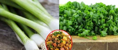 ¿Adiós Cebolla China? Ingrediente no sería apto para el consumo humano ¿Le diremos adiós a la cebolla china? Ingrediente no sería apto para el consumo humano