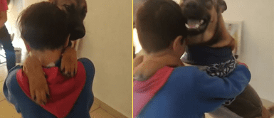 El perrito se mostró feliz al bailar con su pequeño amo. Niño enternece al bailar junto a su perrito y este lo llena de besos