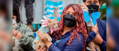 Conoce todos los detalles para el concurso de mascotas. Canoween: Concurso de disfraces para mascotas en el club zonal en Los Olivos