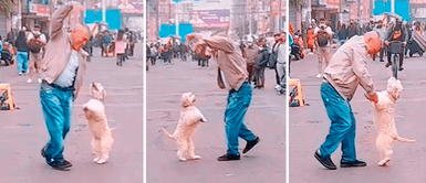 Peruano saca chispas a la pista de baile con show callejero junto a su PERRO en Gamarra al ritmo de huayno Peruano saca chispas a la pista de baile con show callejero junto a su PERRO en Gamarra al ritmo de huayno