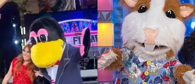 Cuy se luce con Magaly Medina, ahora como 'Urraca' Cuy de ‘En Boca de Todos’ se luce como ‘Urraca’ y baila con Magaly Medina en fiesta | VIDEO