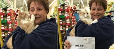 El gatito no dejaba de besar a su mamá humana. Gatito rescatado se muestra agradecido con su nueva dueña: "Cómo no amarlos"