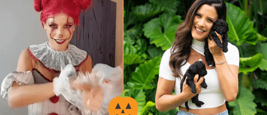 María Pía Copello sorprendió con tierno disfraz de minion. María Pía Copello muestra disfraz de su fiel compañero: "¡Qué lindo estás mi amor!"