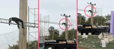 TikTok viral: Fiesta de Halloween se sale de control y joven termina encima de estrado TikTok viral: Fiesta de Halloween se sale de control y joven termina encima de estrado