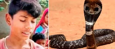 El niño se defendió de la cobra mordiéndolo. Finalmente, salvó su vida matando al animal. Niño salvó su vida tras ataque de SERPIENTE venenosa: "Tuve que morderlo para que muera"