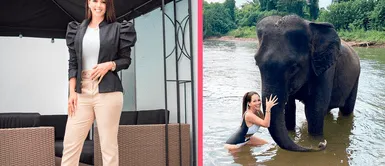 Melissa Klug cuenta quien fue el encargado de pagar su viaje con Jesús Barco a Tailandia Melissa Klug cuenta quien fue el encargado de pagar su viaje con Jesús Barco a Tailandia