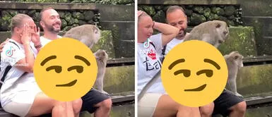 TikTok Viral: monos no se aguantaron y se aparearon en piernas de turistas en Bali TikTok Viral: monos no se aguantaron y se aparearon en piernas de turistas en Bali