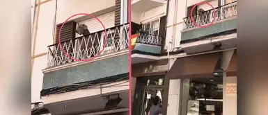Perrito se vuelve VIRAL en REDES SOCIALES por jugar a la pelota desde el BALCÓN de una casa Perrito se vuelve VIRAL en REDES SOCIALES por jugar a la pelota desde el BALCÓN de una casa