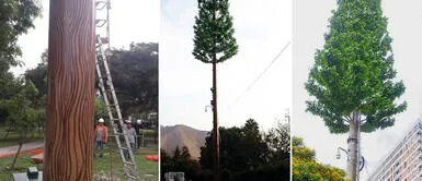 Las antenas con más de 10 metros son camuflados como árboles. ¿Por qué las antenas de telefonía parecen “árboles” y cuál es su impacto en la salud?