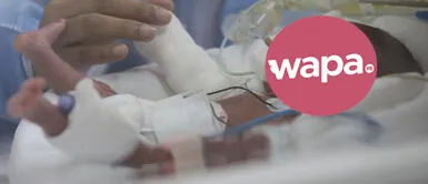 Los bebés prematuros no alcanzan el peso adecuado, están expuestos a enfermar y requieren de atención especializada Más de un millón de bebés prematuros mueren cada año en el mundo