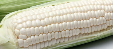 Existe una forma de cocinar el choclo para que se mantenta suave y con buen sabor. ¿Cómo lograr que el choclo quede suave y con un rico sabor? Descubre la receta secreta