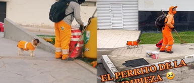 Hilda es la mamá humana de "Chato" y todos los días hacen dupla para dejar limpias las calles. TIKTOK: perrito luce su uniforme de trabajo para acompañar a su mamá humana a trabajar
