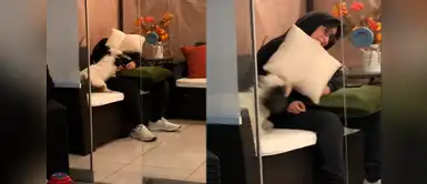 Pelea de perrito con su hermano humano generó comentarios divertidos en TikTok. Pelea de perrito con su hermano humano generó comentarios divertidos en TikTok.