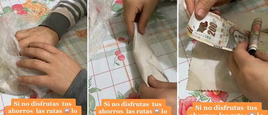 Joven peruana pierde los ahorros de su vida: una polilla se comió sus billetes Joven peruana "pierde" los ahorros de su vida: una polilla se comió sus billetes