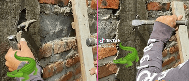 La lagartija quedó pegada en una columna recién hecha. JÓVENES acaban de terminar su trabajo y descubren a una LAGARTIJA PEGADA en el cemento | VIDEO