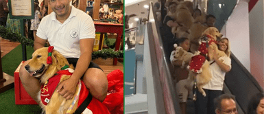 Perritos se lucieron junto a su dueños y dueñas. Más de 150 PERRITOS golden retrievers se reúnen en CENTRO COMERCIAL y enamoran en las redes