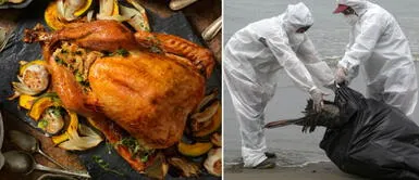 La alerta por los casos de gripe aviar genera dudas sobre el consumo de aves en Navidad. ¿No más pavo en Navidad? La gripe aviar podría afectar la cena preferida de los peruanos