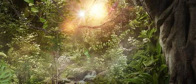 Contribuyen a la reforestación de la Amazonía Contribuyen a la reforestación de la Amazonía con proyecto